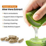 Aloe Vera Vegan Capsule | 10:1 Extract Helps in Skin Care, Digestive Support & Tridosha Balance