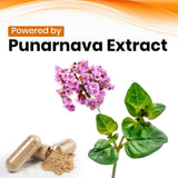Punarnava (Boerhavia diffusa) Vegan Capsule Made with 10:1 Extract | Support Kidney & Liver Health Liver & Detoxification