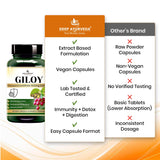 Giloy (Tinospora cordifolia) Vegan Capsule 500mg 10:1 Extract Based | Enhance immunity, Aid digestion & Antioxidant