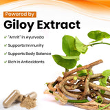 Giloy (Tinospora cordifolia) Vegan Capsule 500mg 10:1 Extract Based | Enhance immunity, Aid digestion & Antioxidant
