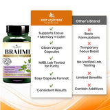 Brahmi (Bacopa monnieri) Vegan Capsule Made with 10:1 Extract | Reduce Anxiety, Stress, &  Mental Clarity