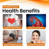 Arjuna 10:1 Extract Based Vegan Capsule | Support Heart Health, Blood Circulation, Blood Pressure, & Enhancing Overall Cardiac function