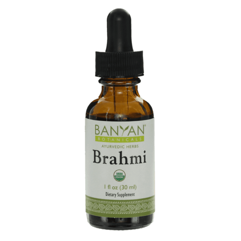 Brahmi/Gotu Kola liquid extract | Certified Organic | 30ml | Supports Healthy Brain