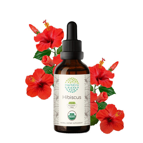 HerbEra | Hibiscus Herbal Extract Tincture | Organic | Alcohol-FREE | 60ml | Made in USA