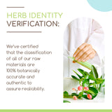 HerbEra | Bitter Melon Herbal Extract Tincture | Organic | Alcohol-FREE | 60ml | Made in USA