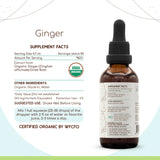 HerbEra | Ginger Herbal Extract Tincture | Organic | Alcohol-FREE | 60ml | Made in USA