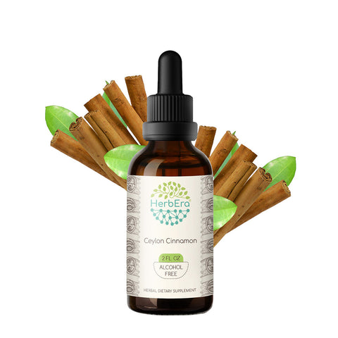 HerbEra | Ceylon Cinnamon Extract Tincture | Organic | Alcohol-FREE | 60ml | Made in USA