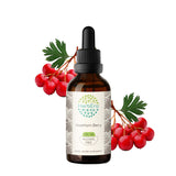 HerbEra | Hawthorn Berry | Herbal Extract Tincture | 60ml | Organic | Alcohol Free | Dried Berry | Made in USA