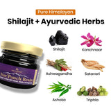 Naripanch® Shilajit Resin for Women – Natural Vitality & Hormonal Balance Support