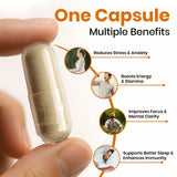 Ashwagandha Capsules – Natural Stress Relief & Mental Clarity