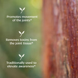 Boswellia powder - Certified Organic