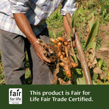Turmeric powder - Certified Organic