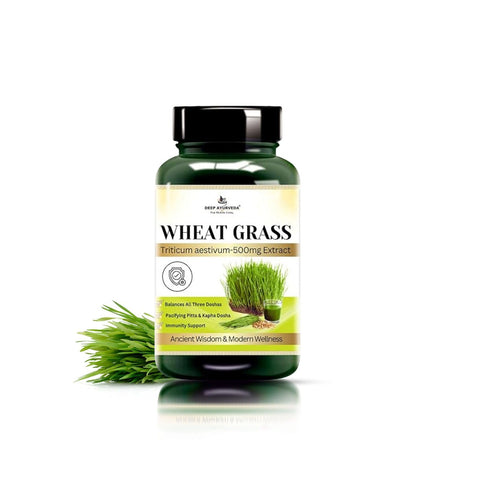 Wheatgrass Vegan Capsule 10:1 extract | Rich in Vitamins, Minerals, and Antioxidants | Immune Function & Enhance Energy Levels