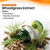 Wheatgrass Vegan Capsule 10:1 extract | Rich in Vitamins, Minerals, and Antioxidants | Immune Function & Enhance Energy Levels