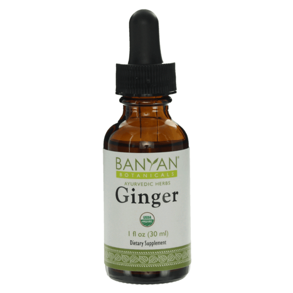 Ginger liquid extract | Certified Organic | 30ml