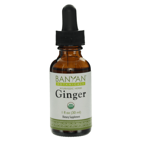 Ginger liquid extract | Certified Organic | 30ml