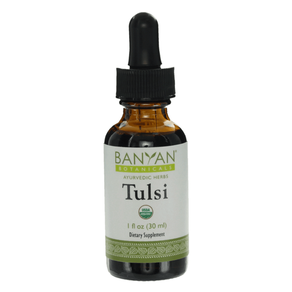 Tulsi liquid extract - Certified Organic