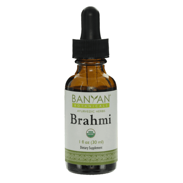 Brahmi/Gotu Kola liquid extract | Certified Organic | 30ml | Supports Healthy Brain