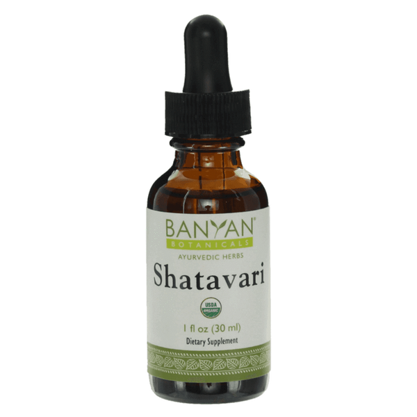 Shatavari liquid extract - Certified Organic