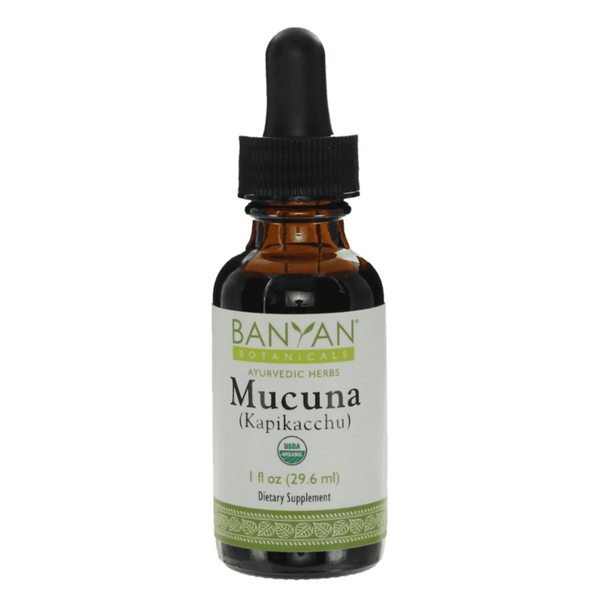 Mucuna (Kapikacchu) liquid extract - Certified Organic