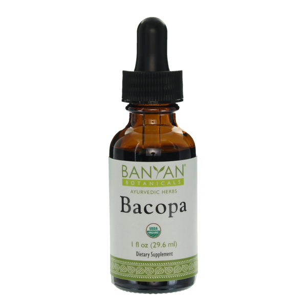 Bacopa Liquid Extract | Certified Organic | 30ml